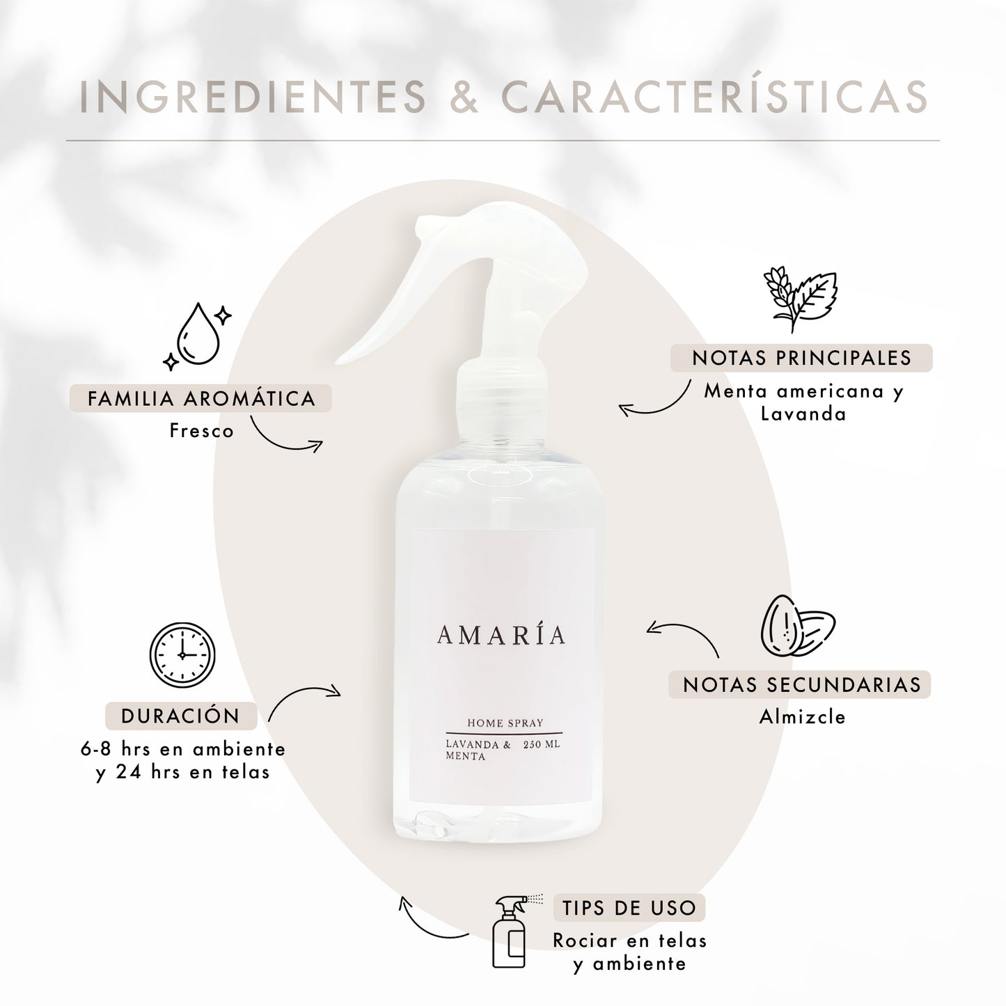 Lavanda y Menta