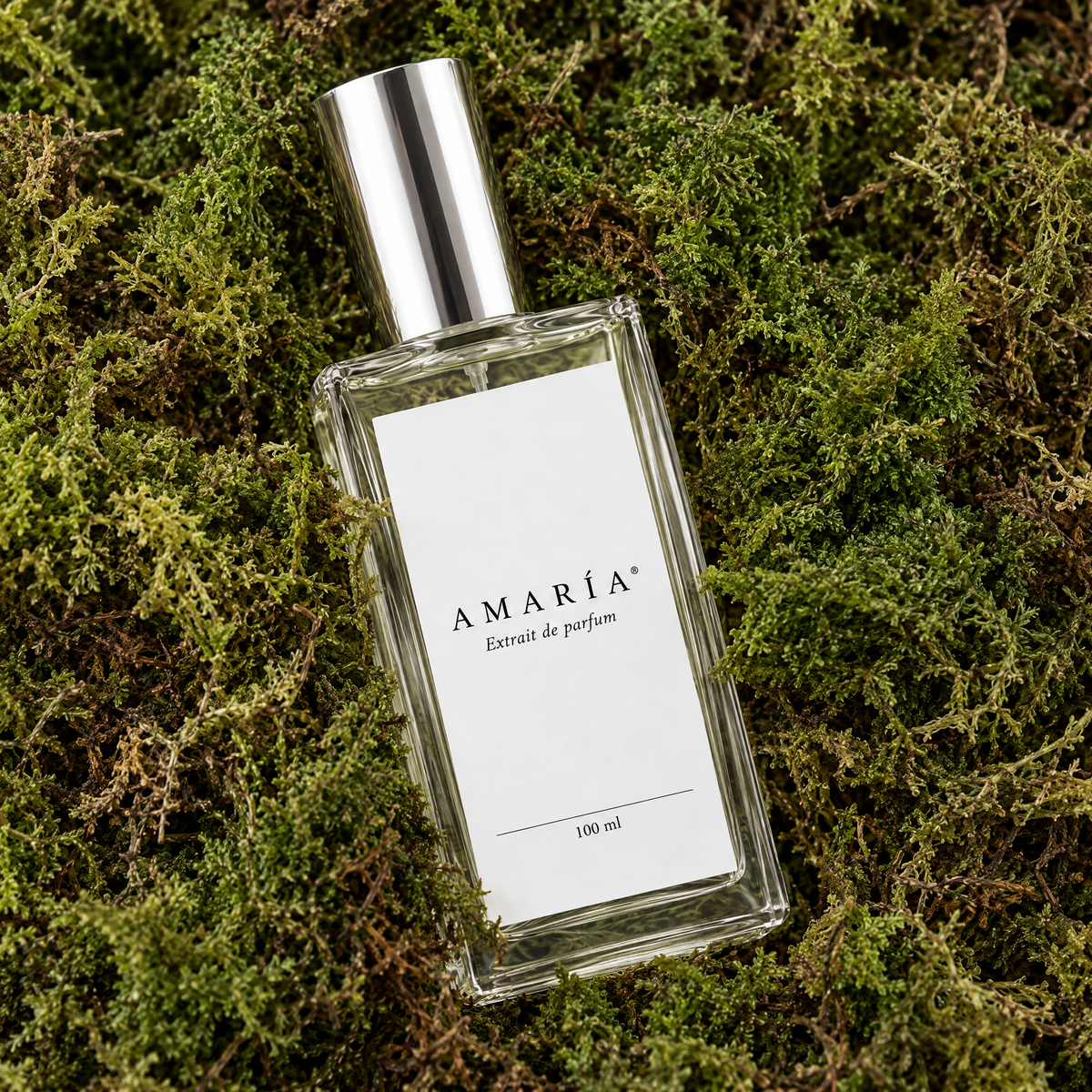 CA-034 | Inspirado en Fierce